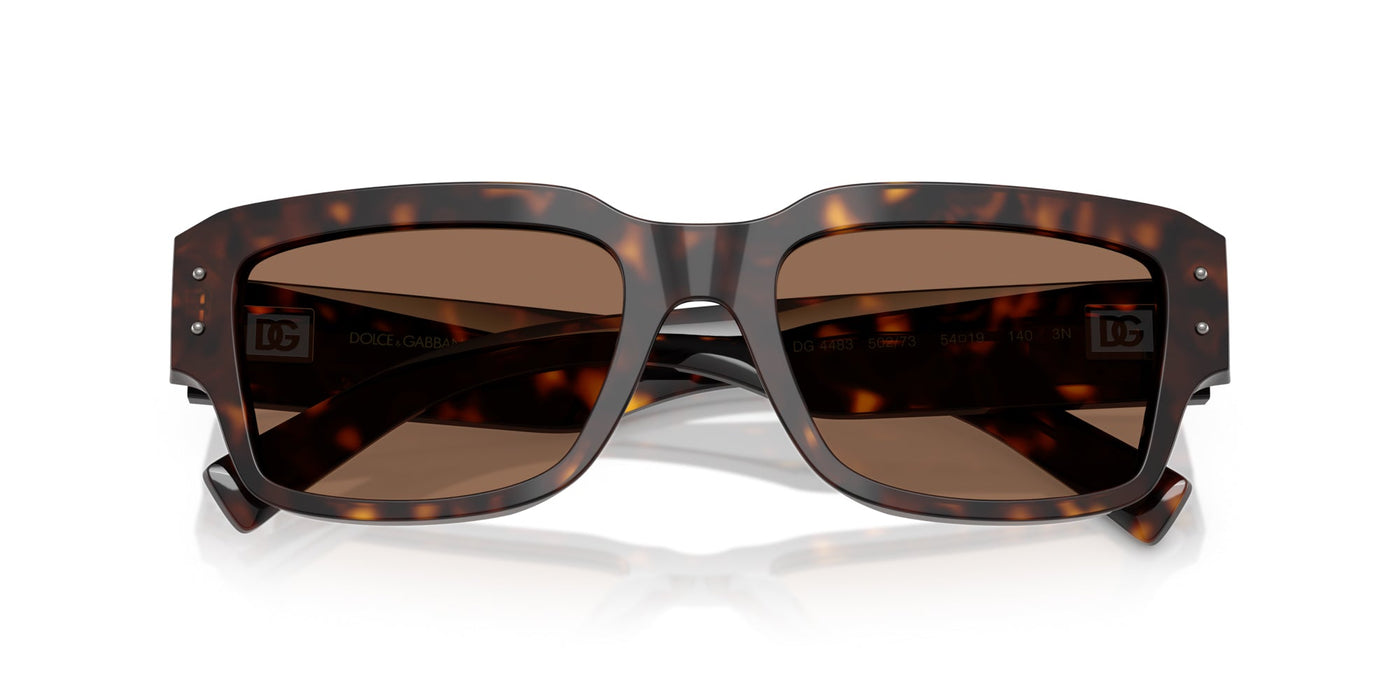 Dolce&Gabbana DG4483 Havana/Dark Brown #colour_havana-dark-brown