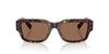 Dolce&Gabbana DG4483 Havana/Dark Brown #colour_havana-dark-brown