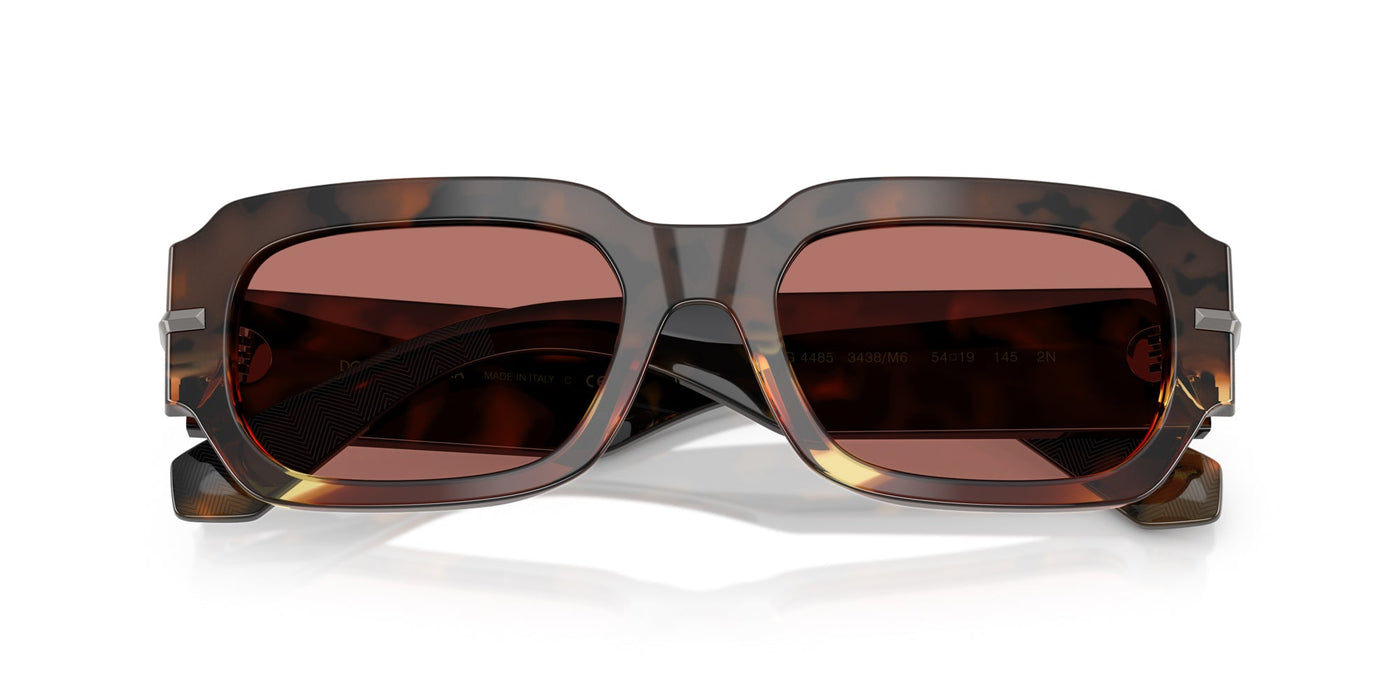 Dolce&Gabbana DG4485 Havana Warm Brown/Bordeaux #colour_havana-warm-brown-bordeaux