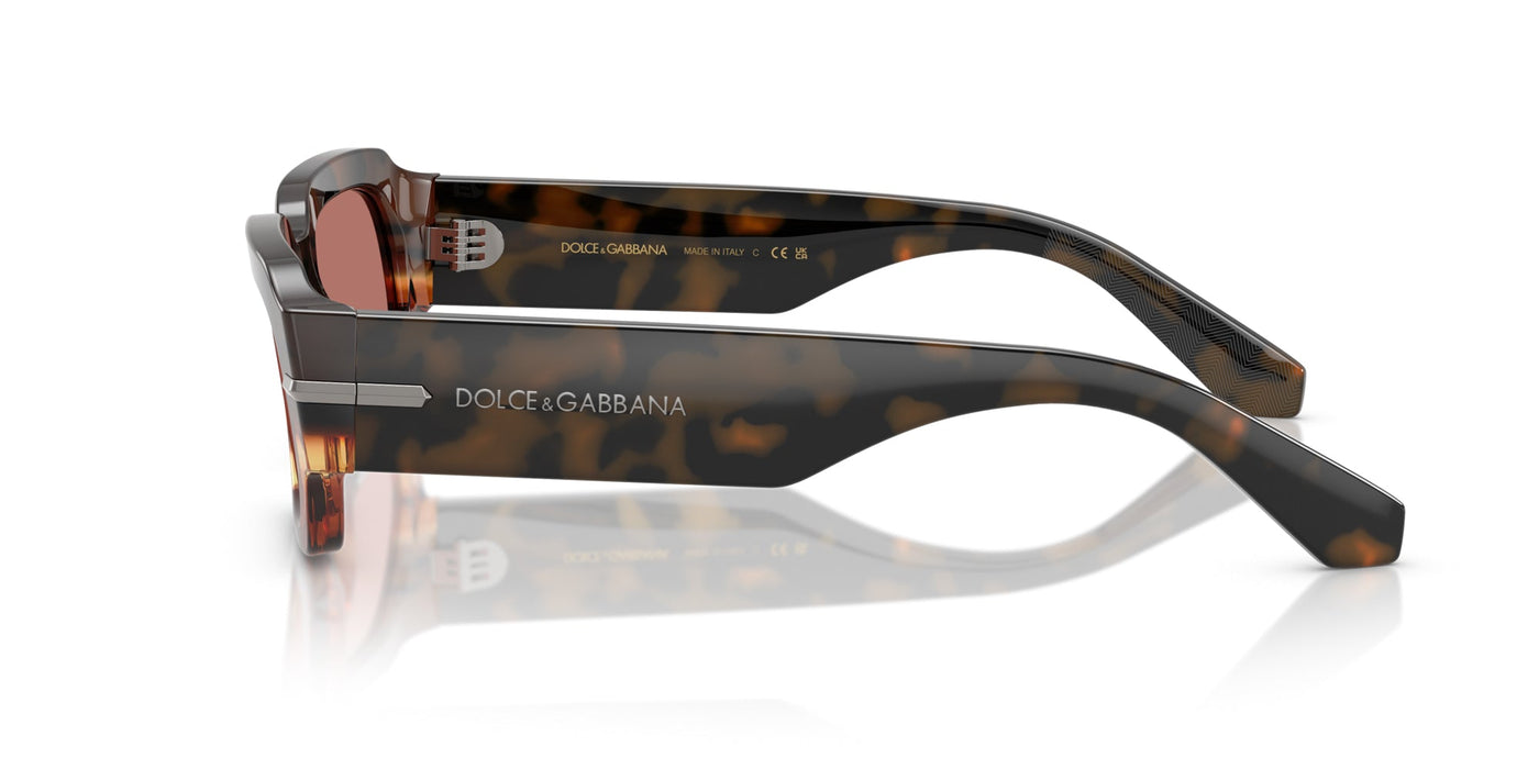 Dolce&Gabbana DG4485 Havana Warm Brown/Bordeaux #colour_havana-warm-brown-bordeaux