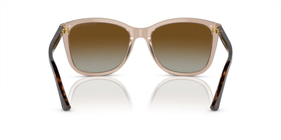 Emporio Armani EA4060 Transparent Tundra/Brown Gradient Polarised #colour_transparent-tundra-brown-gradient-polarised