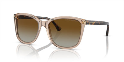 Emporio Armani EA4060 Transparent Tundra/Brown Gradient Polarised #colour_transparent-tundra-brown-gradient-polarised