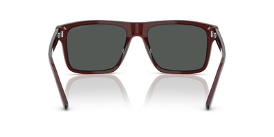 Emporio Armani EA4232 Transparent Brown/Smoke #colour_transparent-brown-smoke