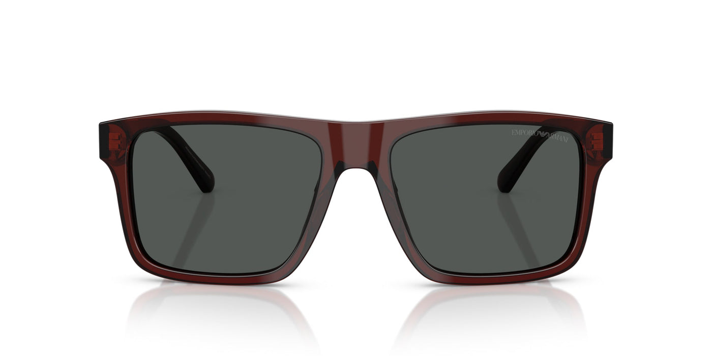 Emporio Armani EA4232 Transparent Brown/Smoke #colour_transparent-brown-smoke