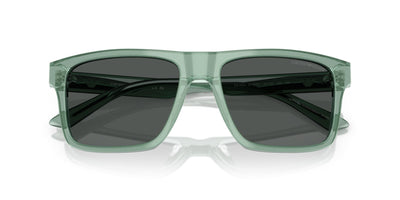 Emporio Armani EA4232 Iridescent Green/Smoke #colour_iridescent-green-smoke