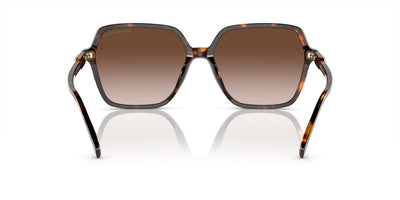 Michael Kors Jasper MK2196U Dark Tortoise/Brown Gradient #colour_dark-tortoise-brown-gradient