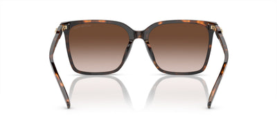 Michael Kors Canberra MK2197U Dark Tortoise/Brown Gradient #colour_dark-tortoise-brown-gradient