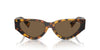 Miu Miu SMU03Z Honey Havana/Dark Brown #colour_honey-havana-dark-brown