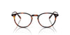 Oliver Peoples Riley-R OV5004 Light-Tortoise #colour_light-tortoise