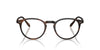 Oliver Peoples Riley-R OV5004 Semi-Matt Tuscany Tortoise #colour_semi-matt-tuscany-tortoise