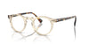 Oliver Peoples Gregory Peck OV5186 Transparent #colour_transparent