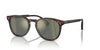 Oliver Peoples Finley ESQ. SUN OV5298SU Dark-Tortoise-Polarised-Green #colour_dark-tortoise-polarised-green