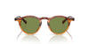 Oliver Peoples OP-13 Sun OV5504SU Dark Amber Gradient/Green C #colour_dark-amber-gradient-green-c