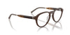 Oliver Peoples R-8R OV5557U Semi-Matt Umber #colour_semi-matt-umber