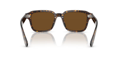 Oliver Peoples Errisson Sun OV5562SU Atago Tortoise/True Brown Polarised #colour_atago-tortoise-true-brown-polarised