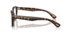 Oliver Peoples Errisson OV5562U Atago Tortoise #colour_atago-tortoise