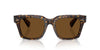 Oliver Peoples Ollice OV5564SU Atago Tortoise/True Brown Polarised #colour_atago-tortoise-true-brown-polarised