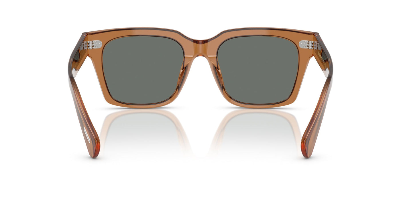 Oliver Peoples Ollice OV5564SU Carob/Regal Blue #colour_carob-regal-blue