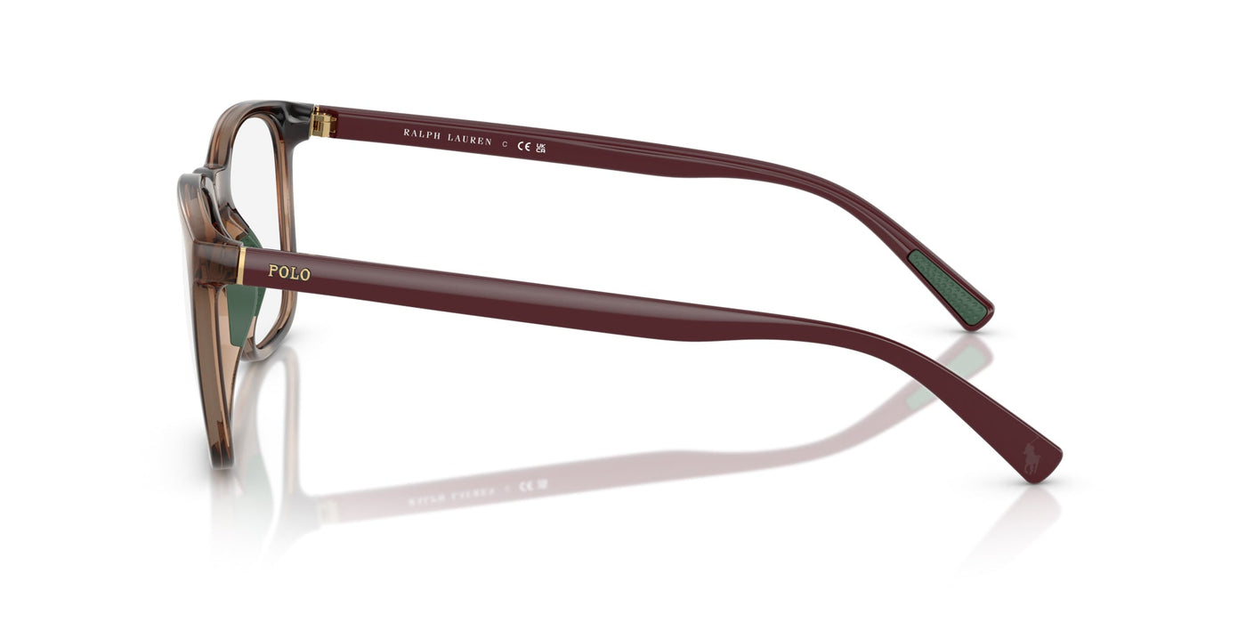 Polo Ralph Lauren PH2281U Shiny Dark Havana-Burgundy #colour_shiny-dark-havana-burgundy