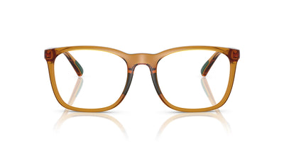 Polo Ralph Lauren PH2281U Shiny Transparent Honey Brown #colour_shiny-transparent-honey-brown