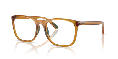 Polo Ralph Lauren PH2281U Shiny Transparent Honey Brown #colour_shiny-transparent-honey-brown