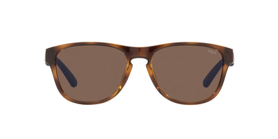 Polo Ralph Lauren PH4180U Shiny Havana/Brown #colour_shiny-havana-brown