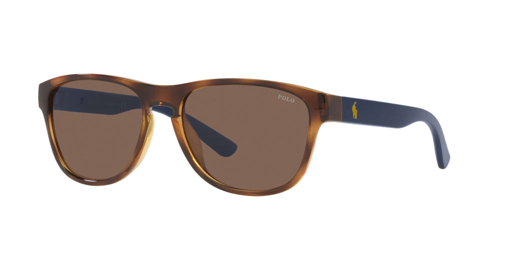 Polo Ralph Lauren PH4180U Shiny Havana/Brown #colour_shiny-havana-brown