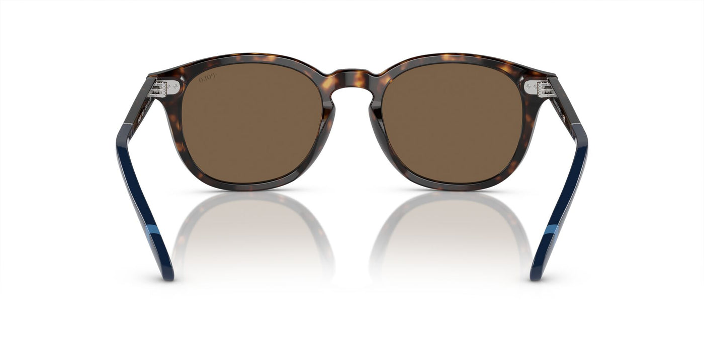 Polo Ralph Lauren PH4206 Shiny Dark Havana/Brown #colour_shiny-dark-havana-brown