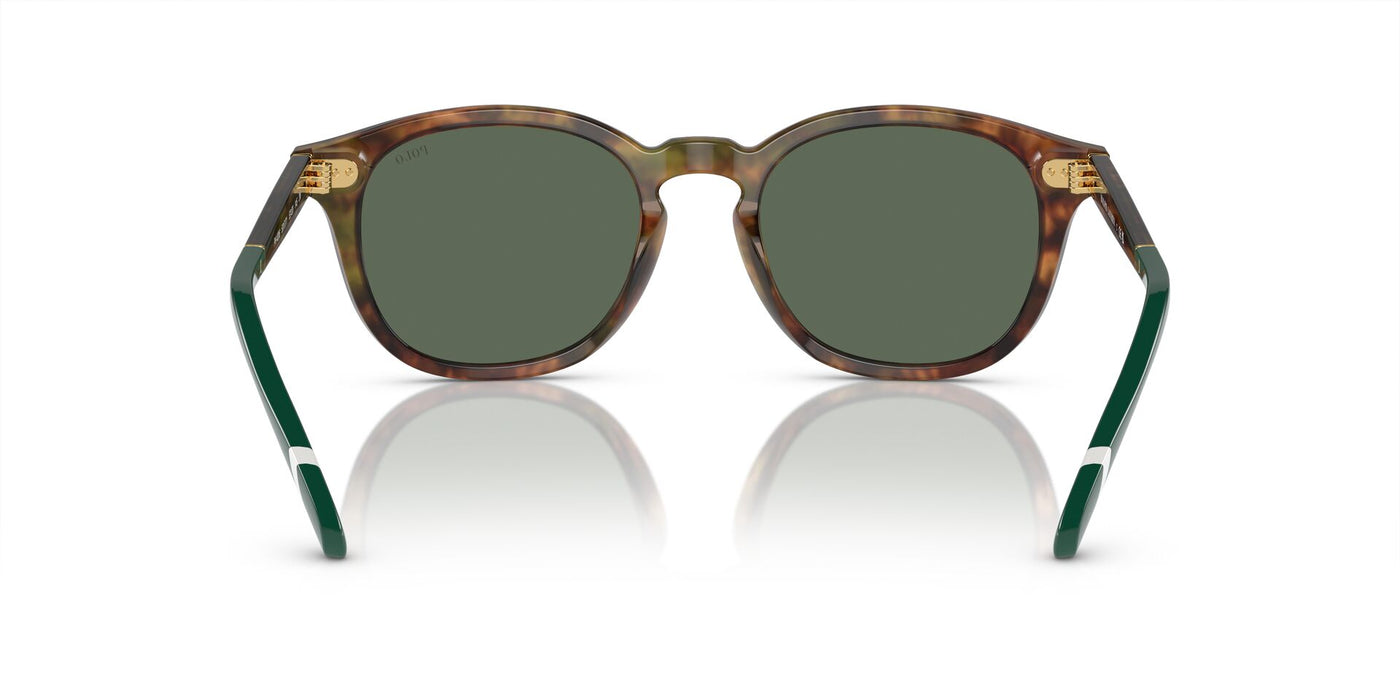 Polo Ralph Lauren PH4206 Shiny Brown Tortoise/Bottle Green #colour_shiny-brown-tortoise-bottle-green