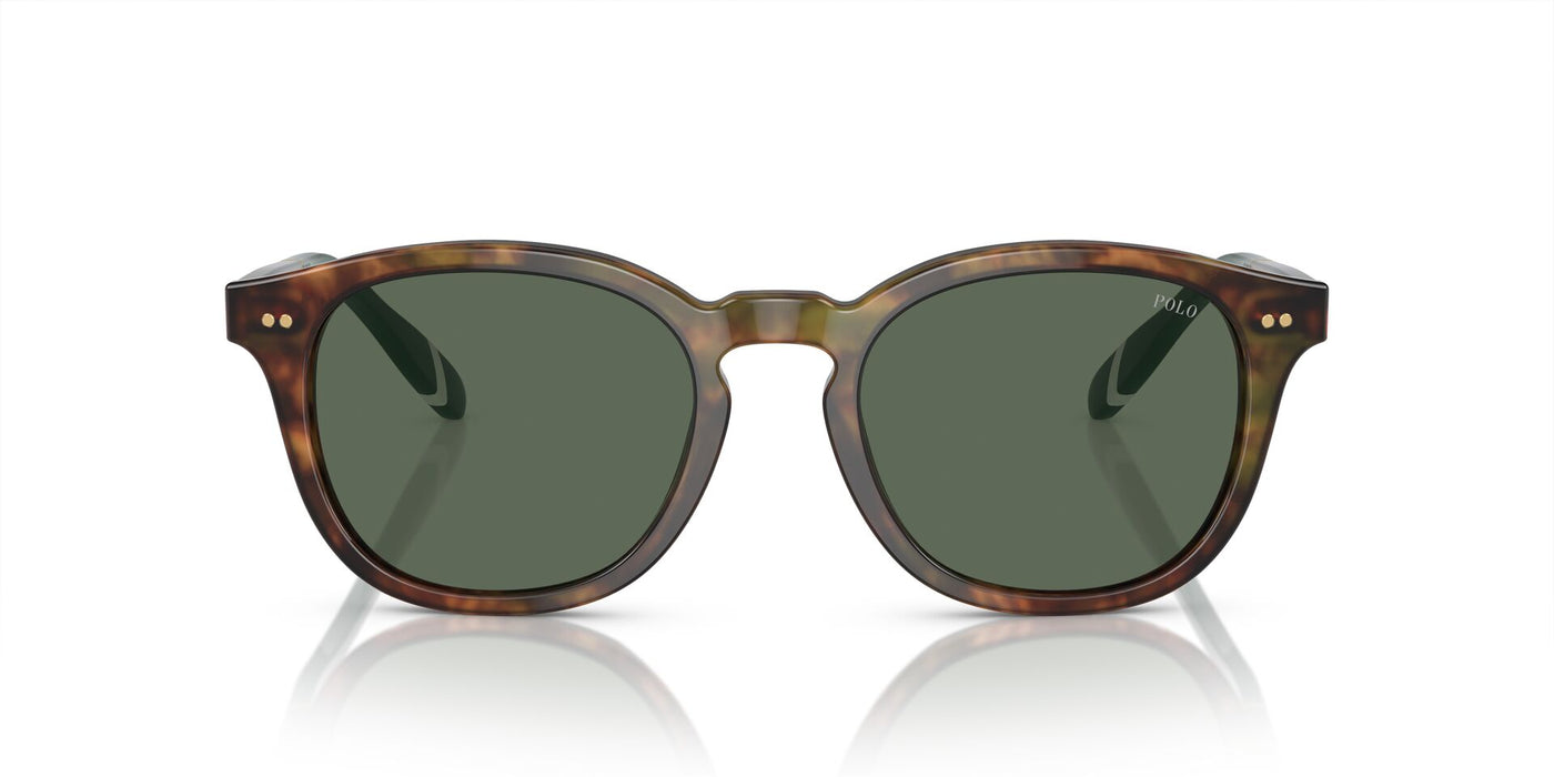 Polo Ralph Lauren PH4206 Shiny Brown Tortoise/Bottle Green #colour_shiny-brown-tortoise-bottle-green