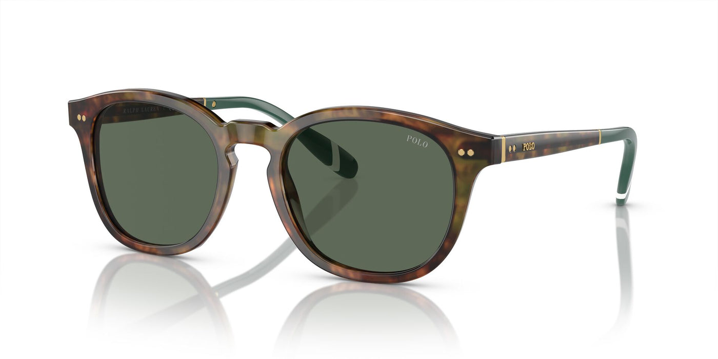 Polo Ralph Lauren PH4206 Shiny Brown Tortoise/Bottle Green #colour_shiny-brown-tortoise-bottle-green