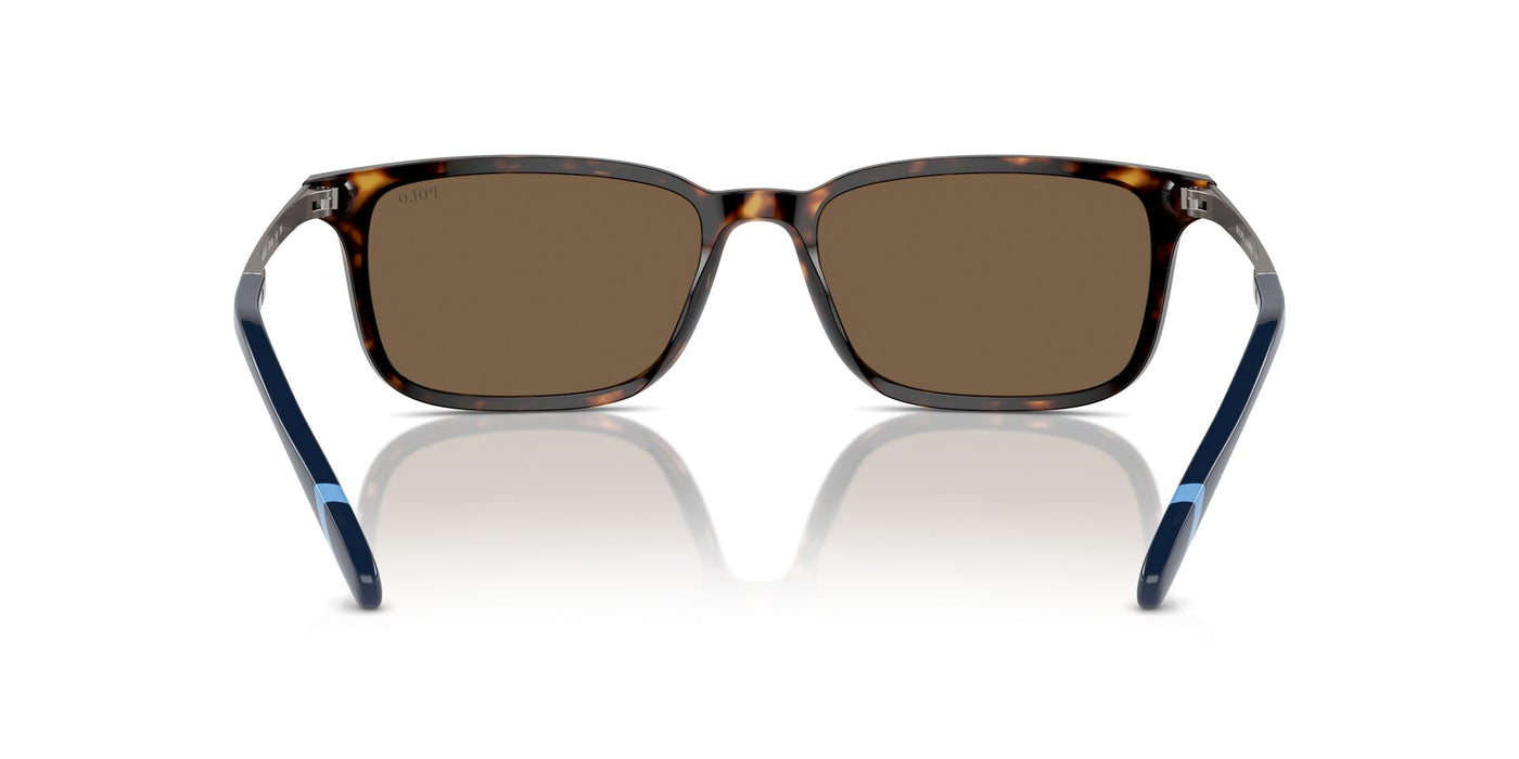 Polo Ralph Lauren PH4212 Shiny Dark Havana/Brown #colour_shiny-dark-havana-brown