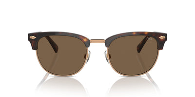 Polo Ralph Lauren PH4217 Shiny Brown Tortoise/Brown #colour_shiny-brown-tortoise-brown