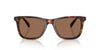 Polo Ralph Lauren PH4220U Shiny Brown Tortoise/Dark Brown #colour_shiny-brown-tortoise-dark-brown