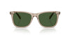 Polo Ralph Lauren PH4220U Shiny Transparent Dark Taupe/Bottle Green #colour_shiny-transparent-dark-taupe-bottle-green