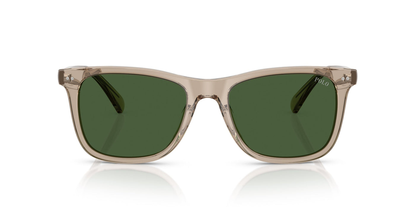 Polo Ralph Lauren PH4220U Shiny Transparent Dark Taupe/Bottle Green #colour_shiny-transparent-dark-taupe-bottle-green