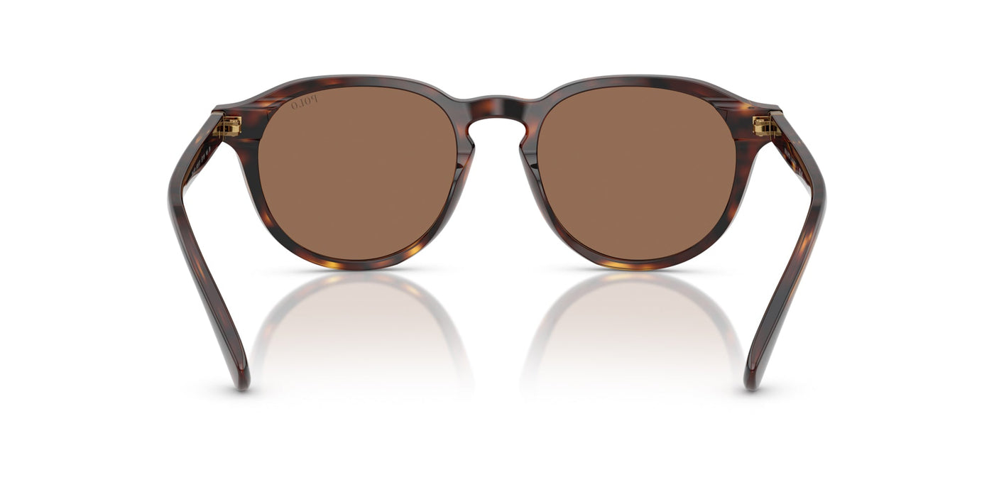 Polo Ralph Lauren PH4221 Shiny Brown Tortoise/Dark Brown #colour_shiny-brown-tortoise-dark-brown