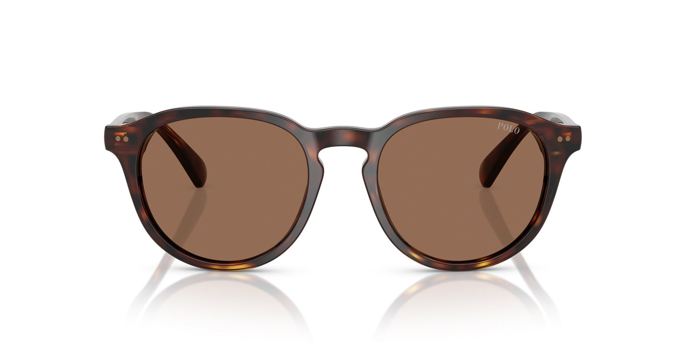 Polo Ralph Lauren PH4221 Shiny Brown Tortoise/Dark Brown #colour_shiny-brown-tortoise-dark-brown