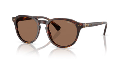 Polo Ralph Lauren PH4221 Shiny Brown Tortoise/Dark Brown #colour_shiny-brown-tortoise-dark-brown