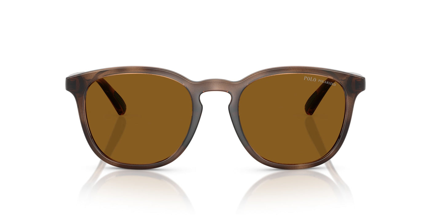 Polo Ralph Lauren PH4222U Shiny Dark Havana/Dark Brown Polarised #colour_shiny-dark-havana-dark-brown-polarised