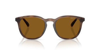 Polo Ralph Lauren PH4222U Shiny Dark Havana/Dark Brown Polarised #colour_shiny-dark-havana-dark-brown-polarised