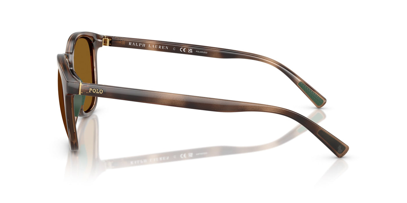 Polo Ralph Lauren PH4222U Shiny Dark Havana/Dark Brown Polarised #colour_shiny-dark-havana-dark-brown-polarised