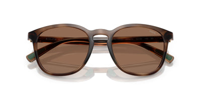 Polo Ralph Lauren PH4222U Shiny Dark Havana/Dark Brown #colour_shiny-dark-havana-dark-brown