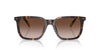 Polo Ralph Lauren PH4224U Shiny Dark Havana/Dark Brown Gradient #colour_shiny-dark-havana-dark-brown-gradient