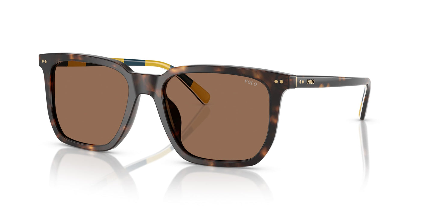 Polo Ralph Lauren PH4224U Shiny Dark Havana/Dark Brown #colour_shiny-dark-havana-dark-brown