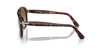 Persol PO0649 Dark Tortoise/Brown Gradient #colour_dark-tortoise-brown-gradient