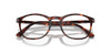 Persol PO3007VM Dark Tortoise #colour_dark-tortoise