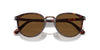 Persol PO3210S Dark Tortoise/Brown Polarised #colour_dark-tortoise-brown-polarised