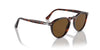 Persol PO3286S Havana/Brown Polarised #colour_havana-brown-polarised