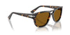 Persol PO3366S Tabacco Virginia/Brown #colour_tabacco-virginia-brown